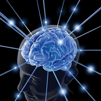 telesna inteligenca in naši možgani
