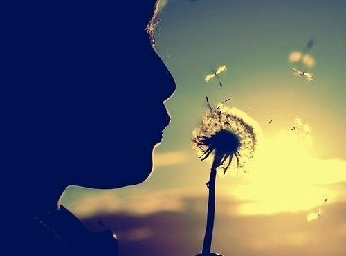 Sprostitev miselne napetosti