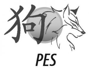 Pes