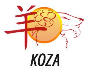 Koza