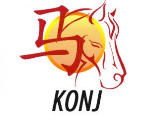 Konj