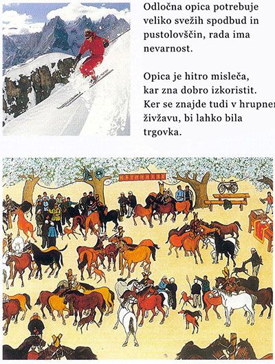 Opice