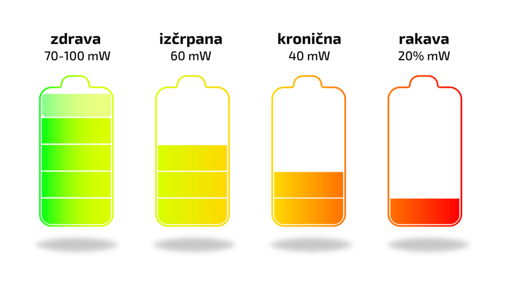 Celice pri živih organizmih. 